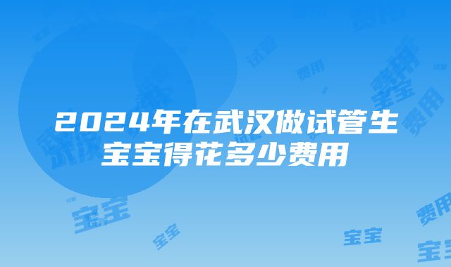 2024年在武汉做试管生宝宝得花多少费用