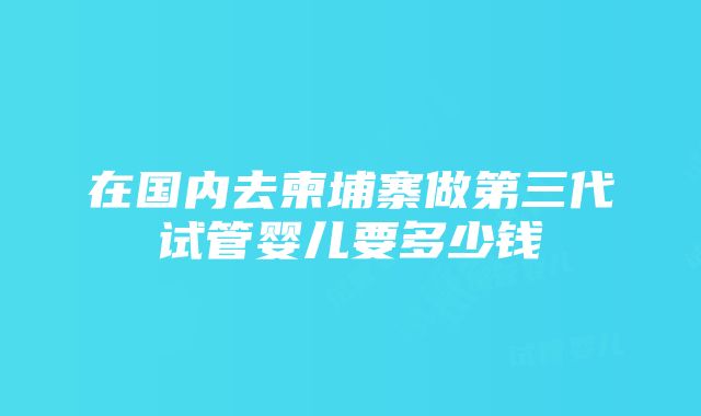 在国内去柬埔寨做第三代试管婴儿要多少钱