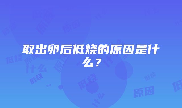 取出卵后低烧的原因是什么？