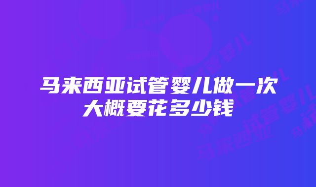 马来西亚试管婴儿做一次大概要花多少钱