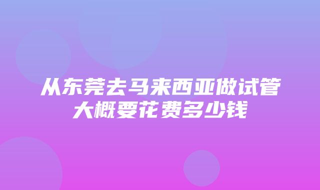 从东莞去马来西亚做试管大概要花费多少钱