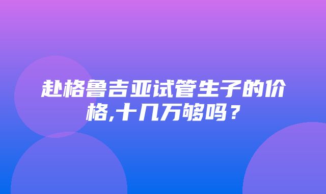 赴格鲁吉亚试管生子的价格,十几万够吗？