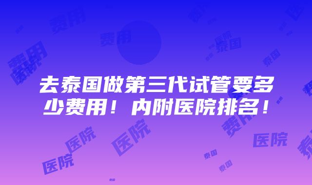 去泰国做第三代试管要多少费用！内附医院排名！