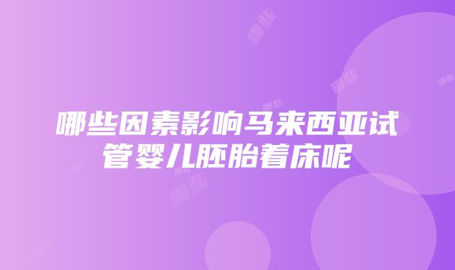 哪些因素影响马来西亚试管婴儿胚胎着床呢