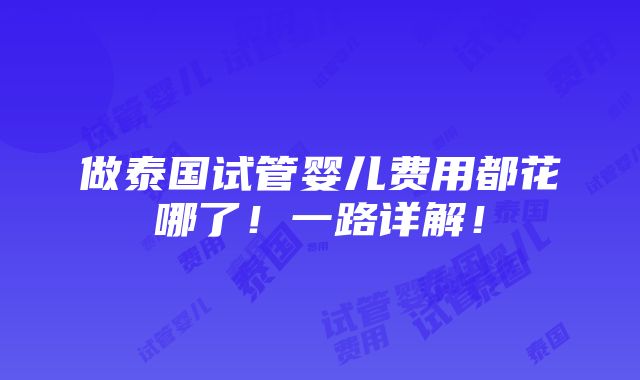 做泰国试管婴儿费用都花哪了！一路详解！