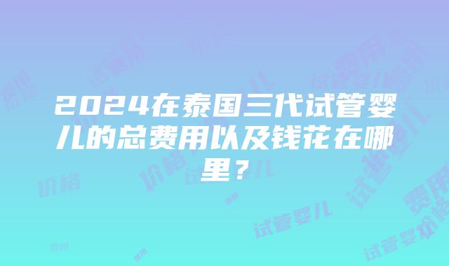 2024在泰国三代试管婴儿的总费用以及钱花在哪里？