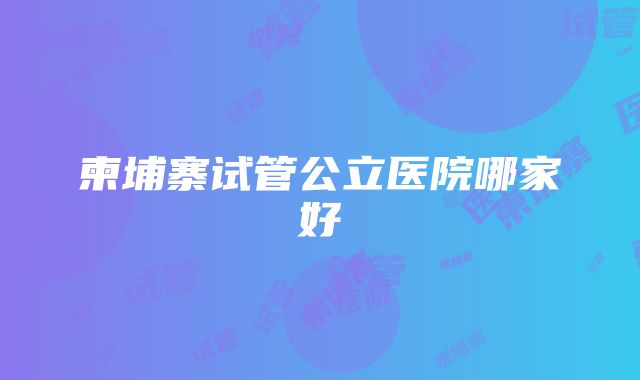 柬埔寨试管公立医院哪家好