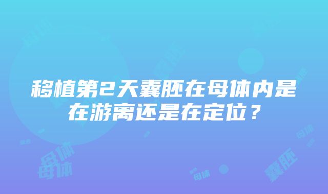 移植第2天囊胚在母体内是在游离还是在定位？