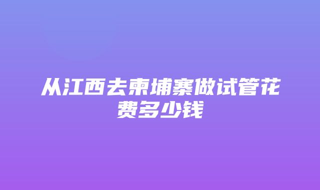 从江西去柬埔寨做试管花费多少钱