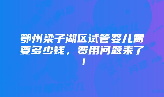 鄂州梁子湖区试管婴儿需要多少钱，费用问题来了！