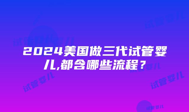 2024美国做三代试管婴儿,都含哪些流程？