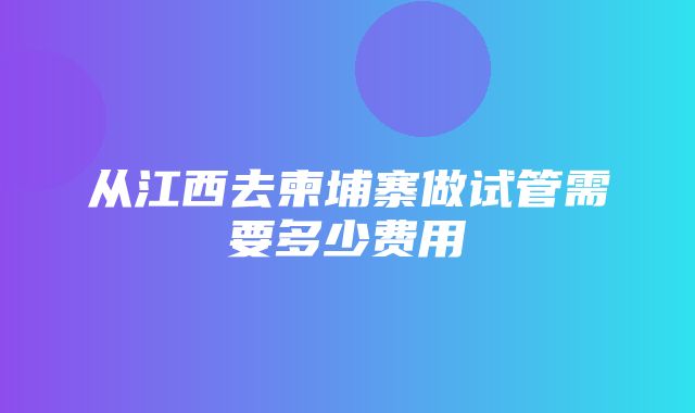 从江西去柬埔寨做试管需要多少费用