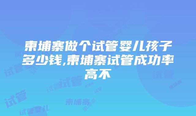 柬埔寨做个试管婴儿孩子多少钱,柬埔寨试管成功率高不