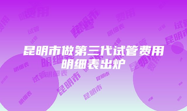 昆明市做第三代试管费用明细表出炉