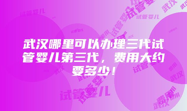 武汉哪里可以办理三代试管婴儿第三代，费用大约要多少！