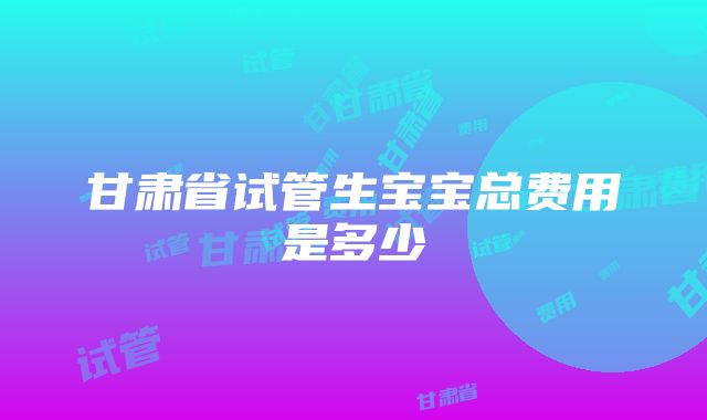 甘肃省试管生宝宝总费用是多少