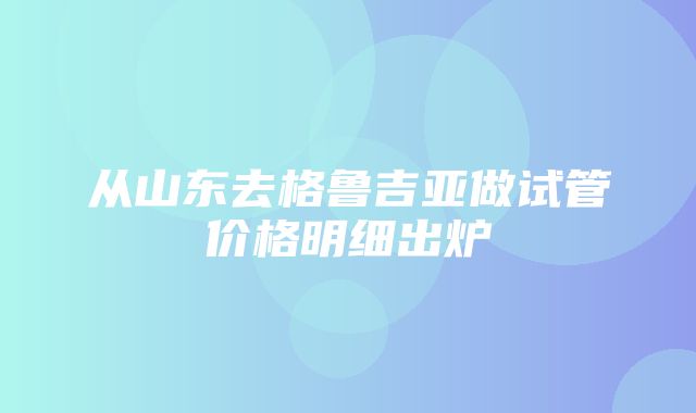 从山东去格鲁吉亚做试管价格明细出炉