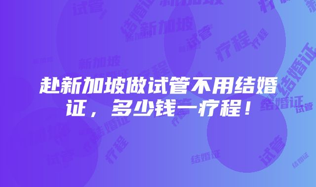 赴新加坡做试管不用结婚证，多少钱一疗程！