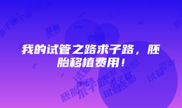 我的试管之路求子路，胚胎移植费用！