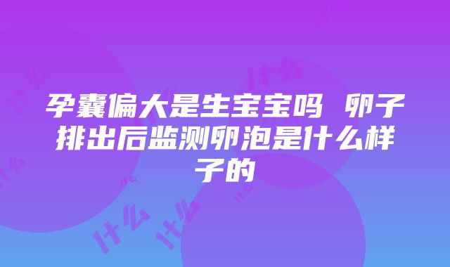 孕囊偏大是生宝宝吗 卵子排出后监测卵泡是什么样子的