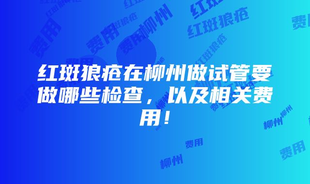 红斑狼疮在柳州做试管要做哪些检查，以及相关费用！