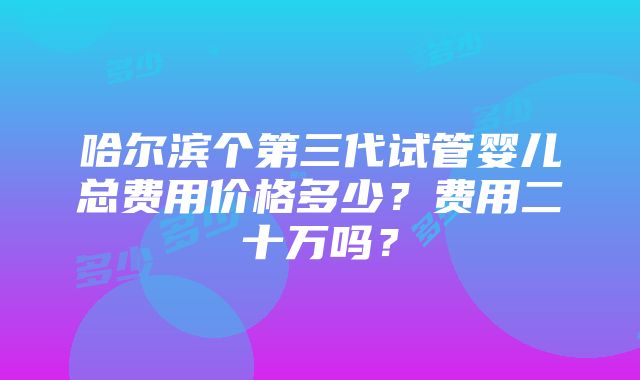 哈尔滨个第三代试管婴儿总费用价格多少？费用二十万吗？