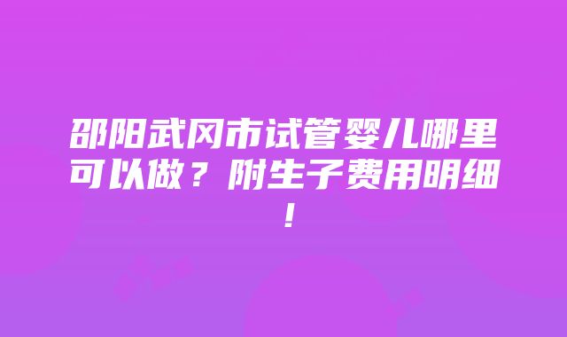 邵阳武冈市试管婴儿哪里可以做？附生子费用明细！