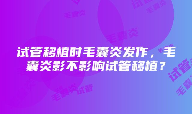 试管移植时毛囊炎发作，毛囊炎影不影响试管移植？