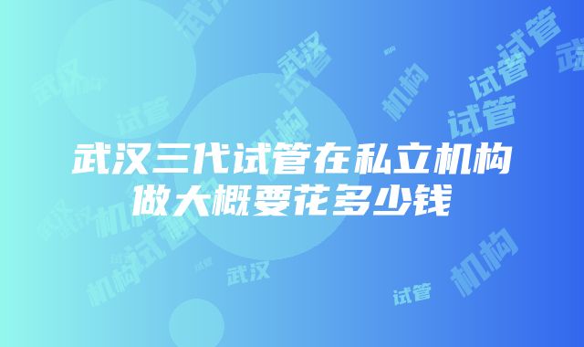 武汉三代试管在私立机构做大概要花多少钱