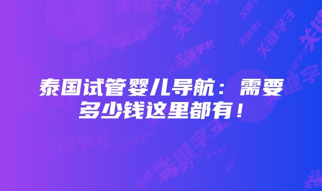 泰国试管婴儿导航：需要多少钱这里都有！