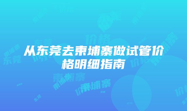 从东莞去柬埔寨做试管价格明细指南