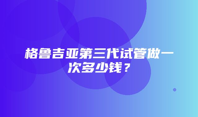 格鲁吉亚第三代试管做一次多少钱？