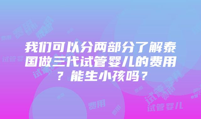 我们可以分两部分了解泰国做三代试管婴儿的费用？能生小孩吗？