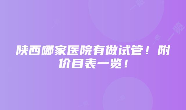 陕西哪家医院有做试管！附价目表一览！