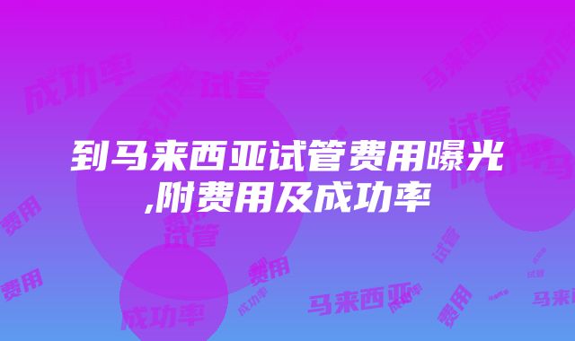 到马来西亚试管费用曝光,附费用及成功率