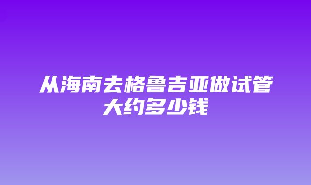 从海南去格鲁吉亚做试管大约多少钱