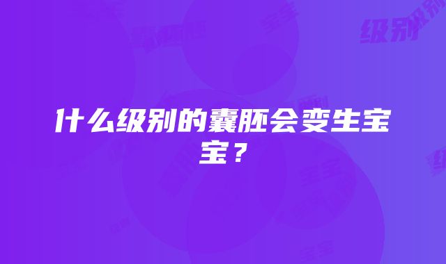 什么级别的囊胚会变生宝宝？