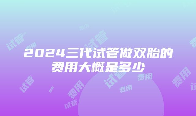 2024三代试管做双胎的费用大概是多少