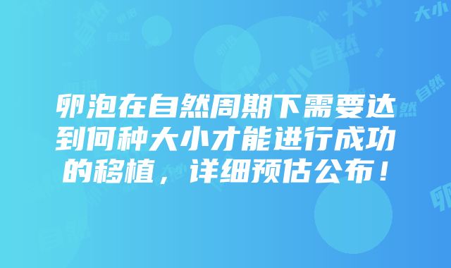 卵泡在自然周期下需要达到何种大小才能进行成功的移植，详细预估公布！