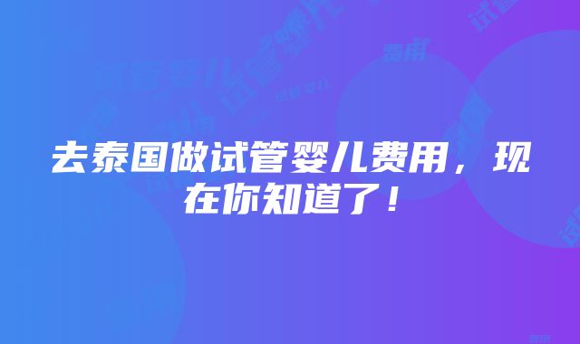 去泰国做试管婴儿费用，现在你知道了！