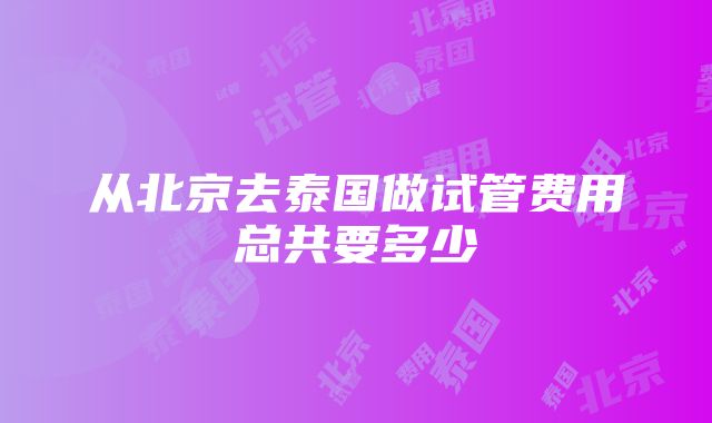 从北京去泰国做试管费用总共要多少