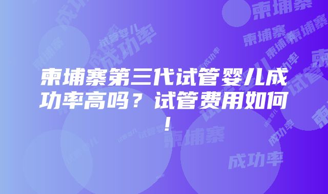 柬埔寨第三代试管婴儿成功率高吗？试管费用如何！