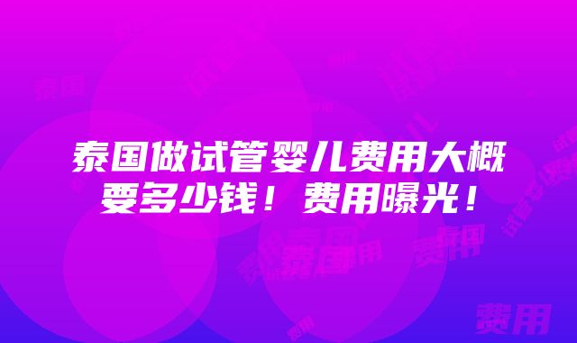 泰国做试管婴儿费用大概要多少钱！费用曝光！