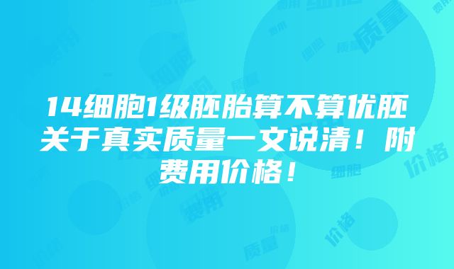 14细胞1级胚胎算不算优胚关于真实质量一文说清！附费用价格！