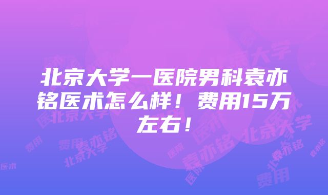 北京大学一医院男科袁亦铭医术怎么样！费用15万左右！