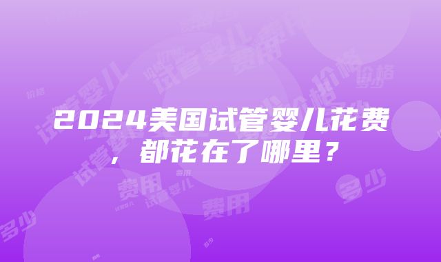 2024美国试管婴儿花费，都花在了哪里？