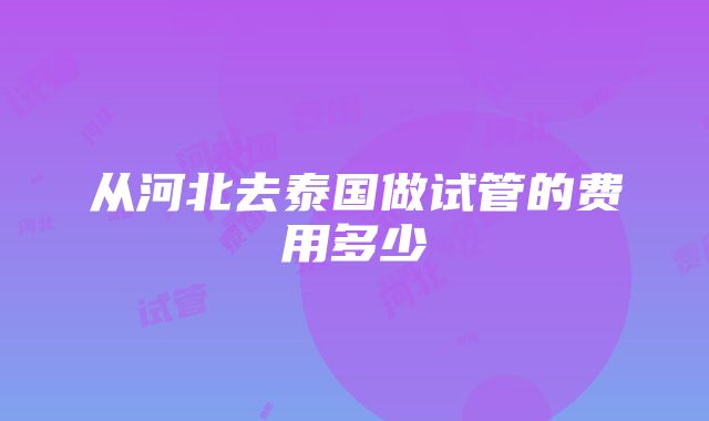 从河北去泰国做试管的费用多少