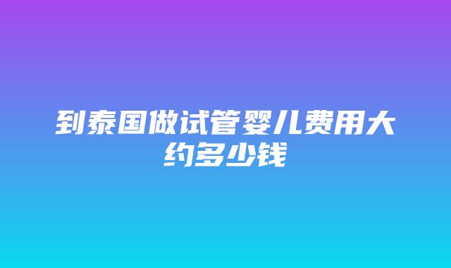 到泰国做试管婴儿费用大约多少钱