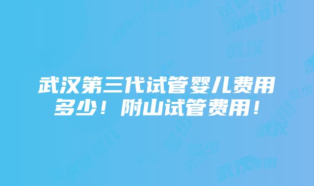 武汉第三代试管婴儿费用多少！附山试管费用！