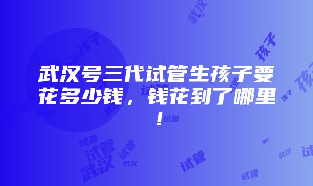 武汉号三代试管生孩子要花多少钱，钱花到了哪里！